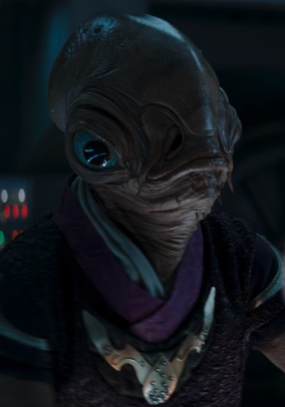 Unidentified Mon Calamari viceroy's son appearance in Common Appearance