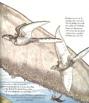 A titavian wing shown with  for scale