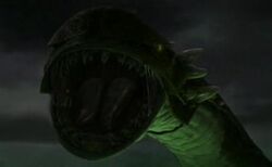 Zillo Beast close