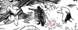 VaderVsWampas