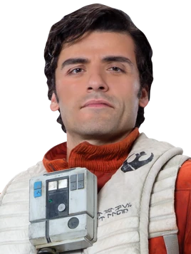 PoeDameronHS-Fathead