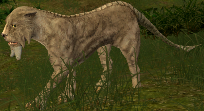 Tusk cat appearance in Common Appearance