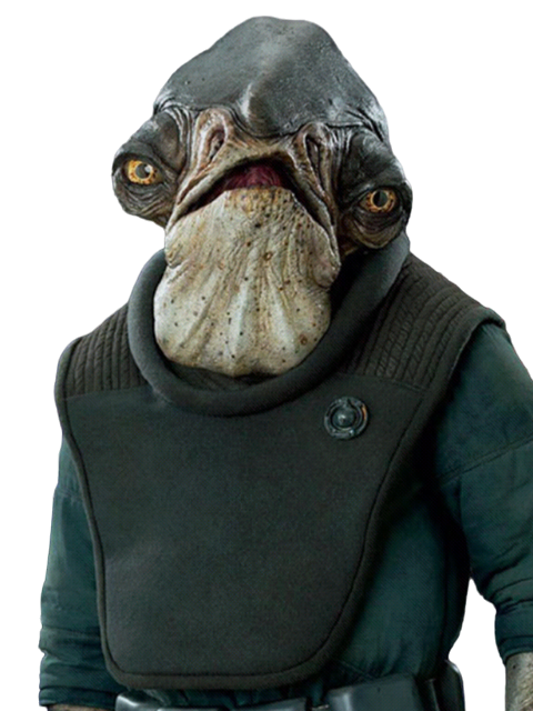 Raddus appearance in Common Appearance