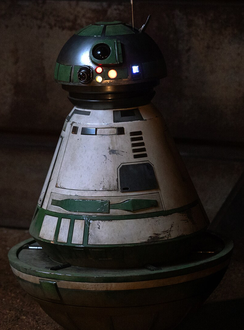 KP-1 appearance 
