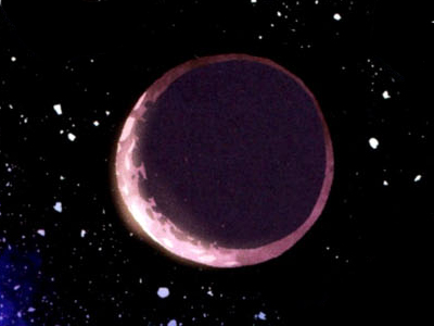 Napdu appearance 