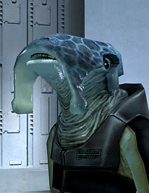 Shasa's father Shaelas hired the Jedi Revan to locate Shasa during the Jedi Civil War.