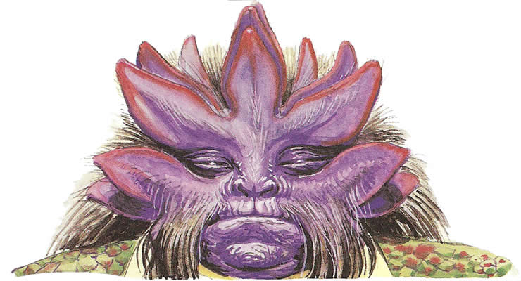 Nimondro appearance 