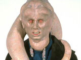 Bib Fortuna