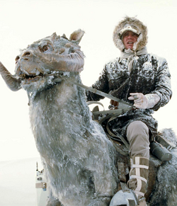 HanTauntaun-TESB40