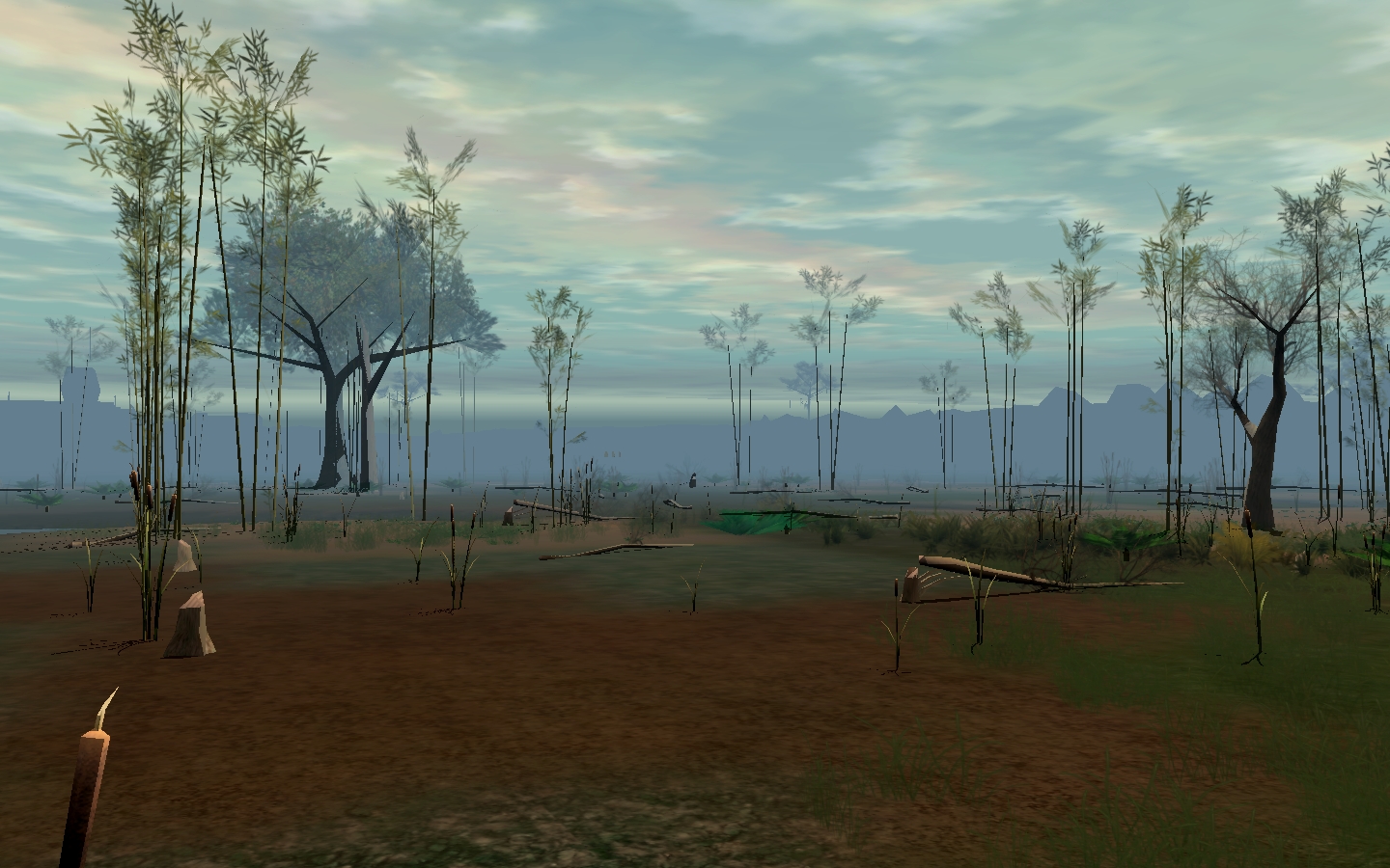 Mudflats appearance 