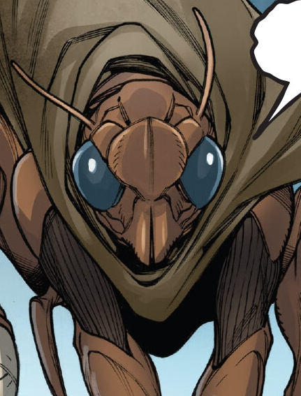 Rrkak appearance 