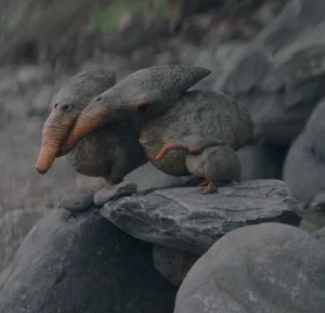 Two adult skura and an infant skura stand together on a set of raised rocks on a stony beach. The two adults are nuzzling their heads together.