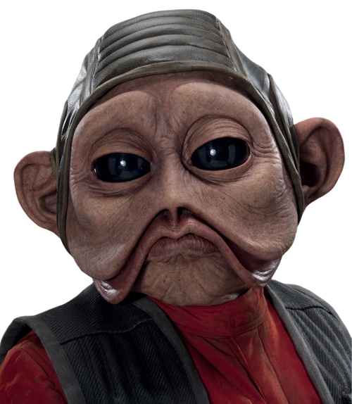 NienNunbHeadshot-SWBC62-alpha