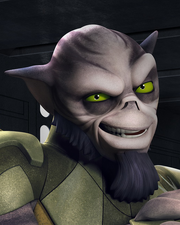 Zeb profilo.png