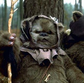 the little bears from star wars