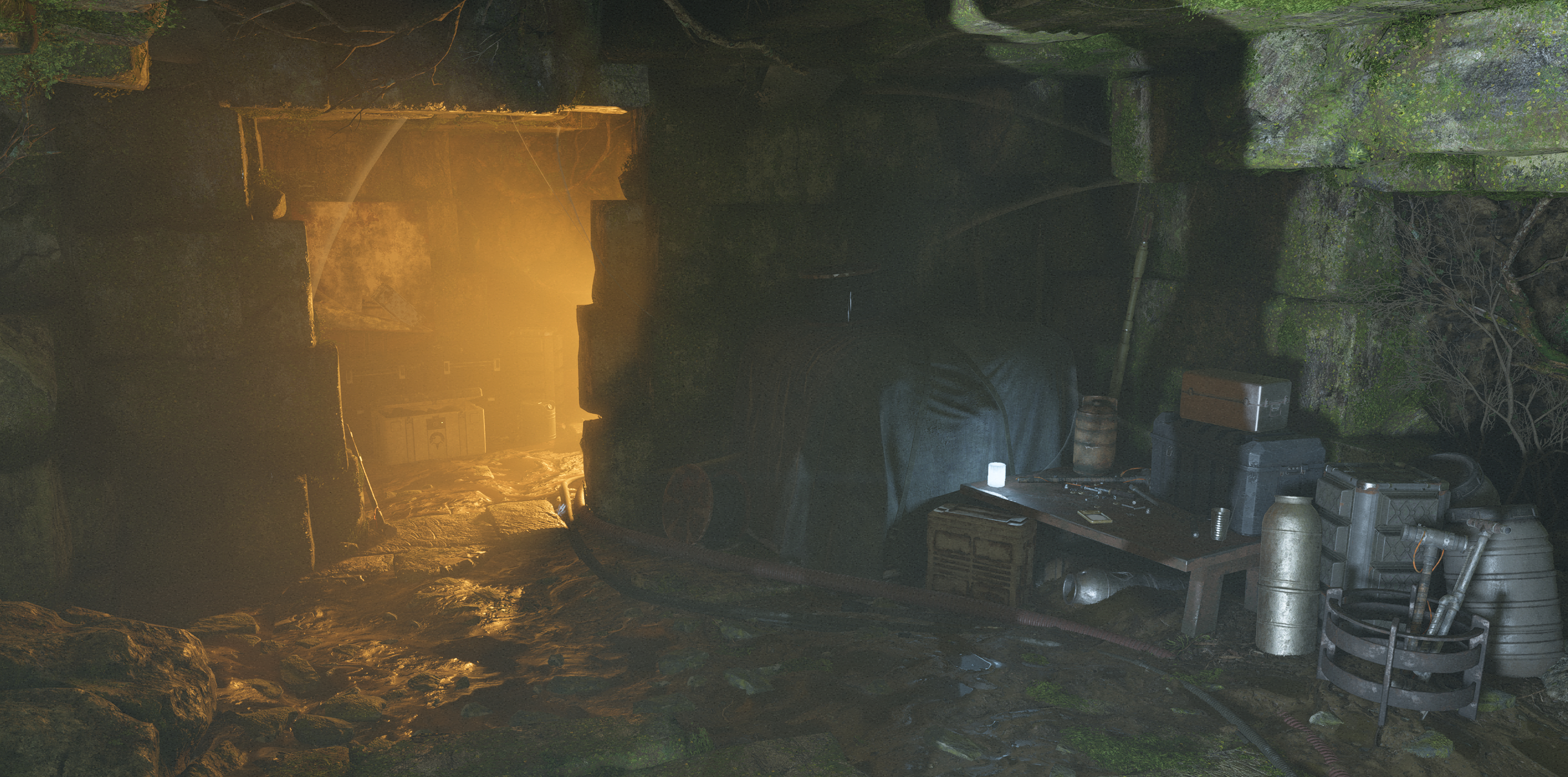 Overgrown vault appearance 