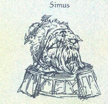 A preliminary sketch of Simus