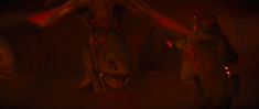 Unidentified creature Nevarro Blurrg