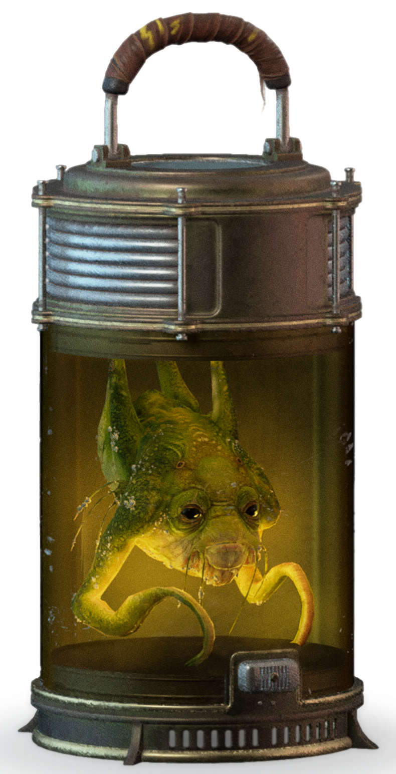 Bosnok appearance 