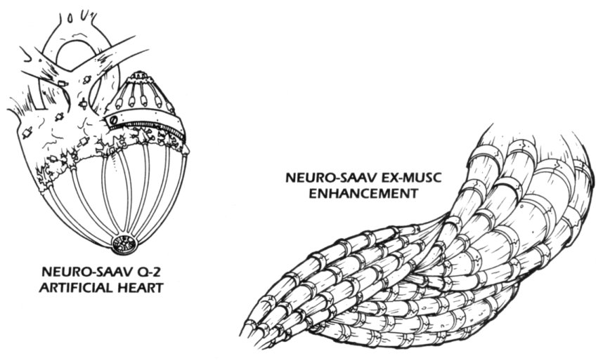 Cardio-Muscular Package appearance in Common Appearance