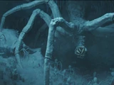 Maldo Kreis Ice Spider