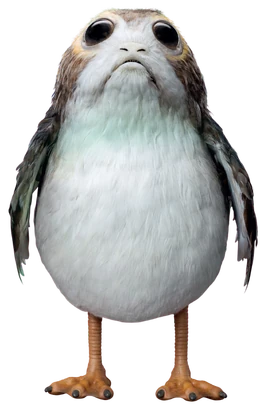 Porg-SWLS