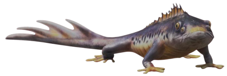 Jabarek lizard appearance 