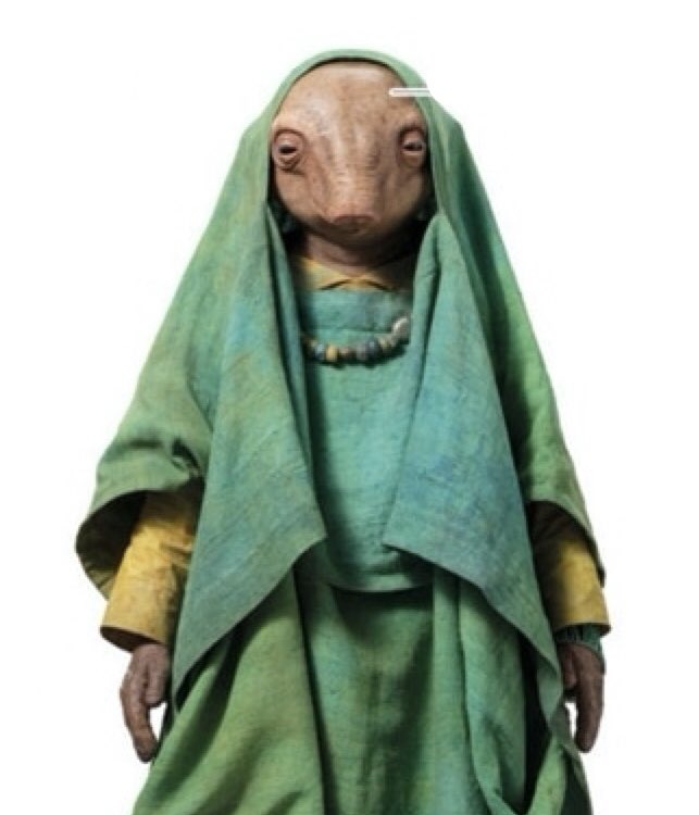 ナンビ ギマ Wookieepedia Fandom ナンビ ギマ Wookieepedia Fandom