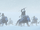 Talz on narglatch mounts.png