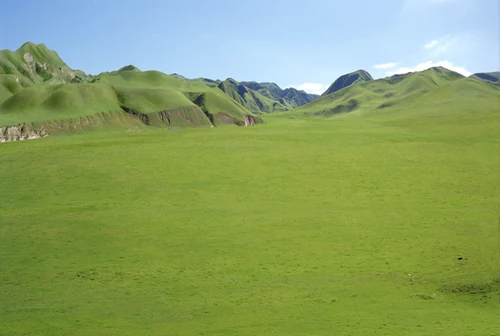 Great Grass Plains