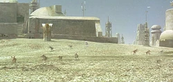 Scurriers in Mos Eisley