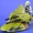 Armored Scout Tank