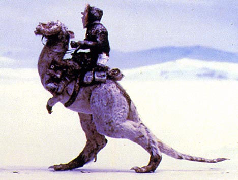 Riding a tauntaun, Han Solo searches for Luke Skywalker.