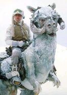 Tauntaun Snow Lizard