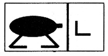 Assault platoon appearance in Common Appearance