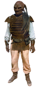 Weequay Wookieepedia Fandom