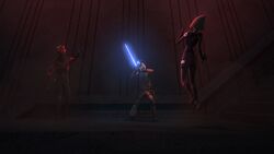 Seventh Sister choked