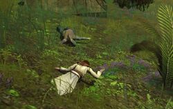 Kashyyyk dead researchers