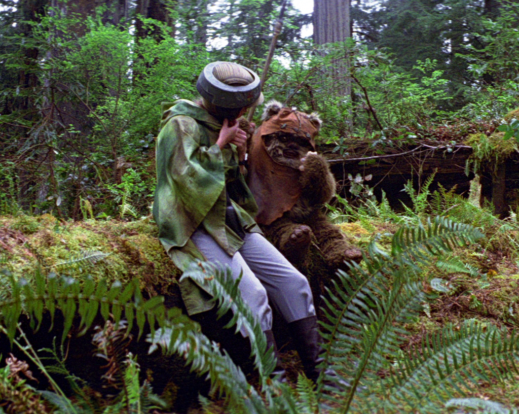 Wicket W. Warrick meets Princess Leia Organa on Endor