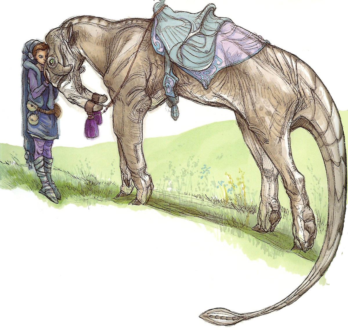 A domesticated tusk cat and a Human child