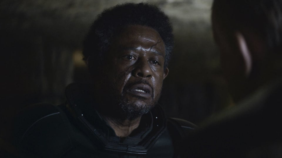 Saw Gerrera grew increasingly extremist as the Imperial era continued on.