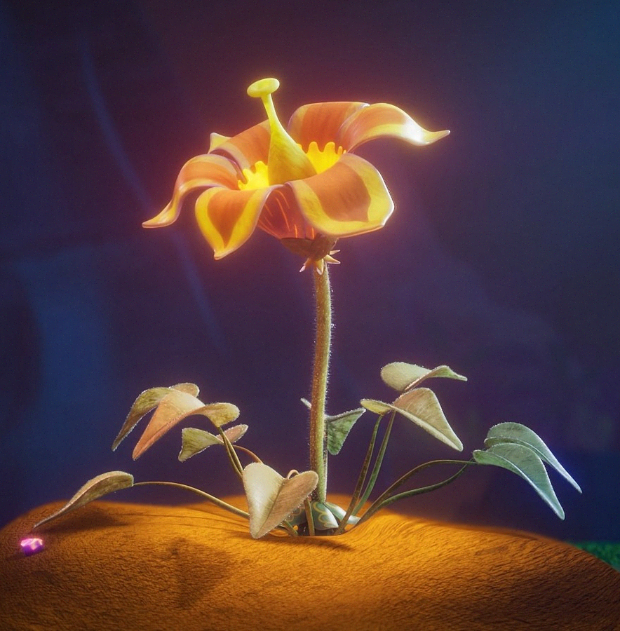 Barelia flower appearance 