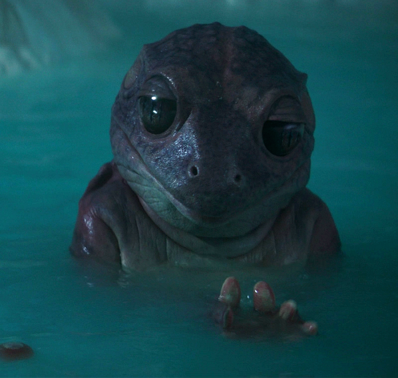 A female of the species soaking in a hot spring.