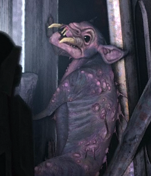 Rat appearance 
