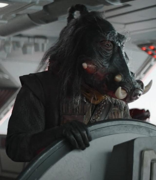 Unidentified Warthog pirate appearance in Common Appearance