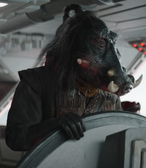 Warthog (species) | Wookieepedia | Fandom
