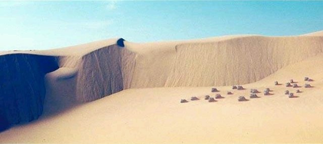 Dune osha deals