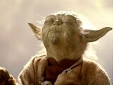 The Force