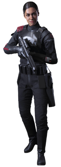 IdenVersio-CGSWG
