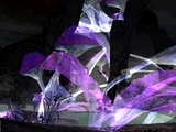 Nightlands/Legends